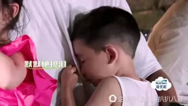 为什么这么多人喜欢Jasper？