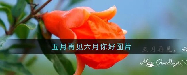 五月再见六月你好图片
