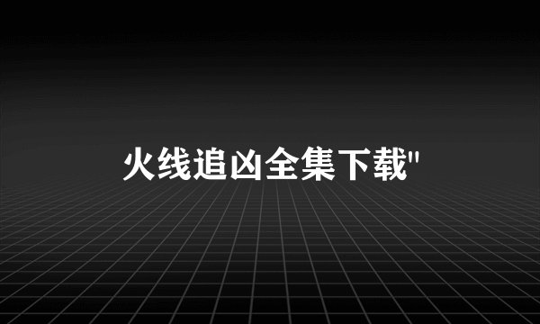 火线追凶全集下载