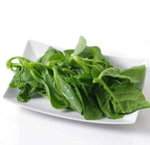 木耳菜的做法是什么？