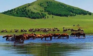 关于内蒙古草原的资料和图片