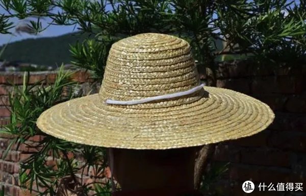LV万元草帽火了，听说戴上能有插秧技能？
