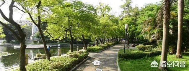 广西大学怎么样？