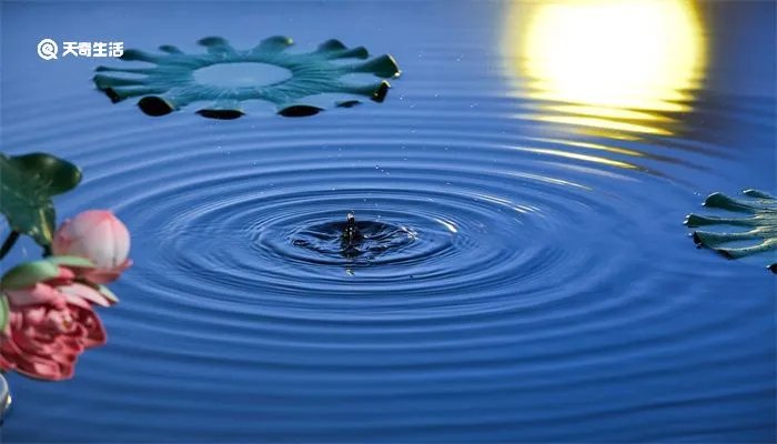 月是故乡明的上一句