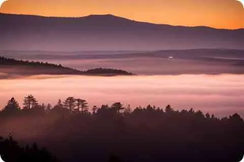 跳针是什么意思?