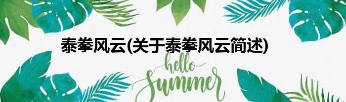 泰拳风云(关于泰拳风云简述)