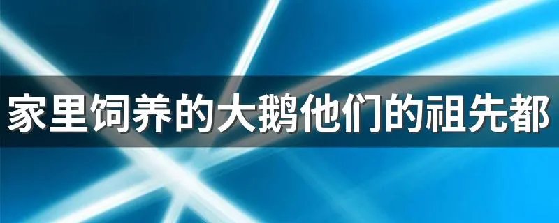 家里饲养的大鹅他们的祖先都是什么 鹅是由什么动物进化而来的