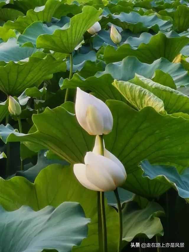 我们三个一起吃饭上课，她们两关系更好一点，我像半透明一样，现在我自己吃饭上课，想问要不要删除微信？