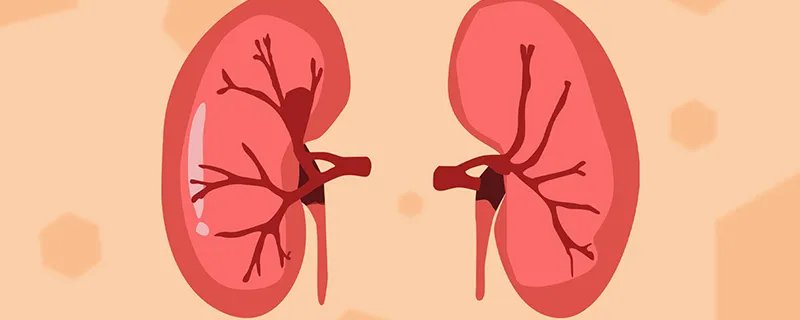 肾囊肿是什么原因