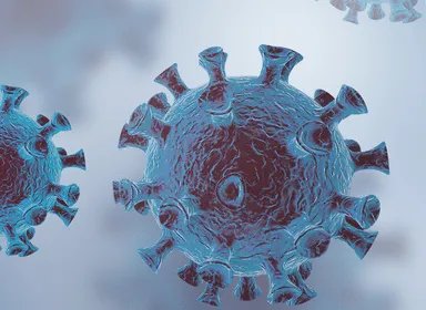 泰国报告全球首例新冠“猫传人”，这件事给予我们哪些警示？