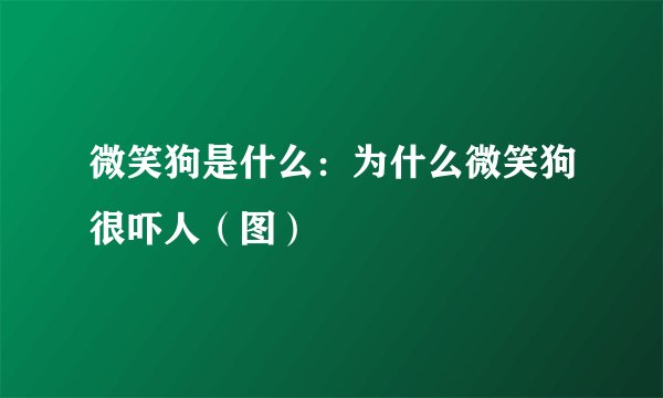 微笑狗是什么：为什么微笑狗很吓人（图）