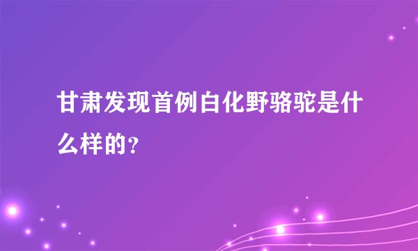 甘肃发现首例白化野骆驼是什么样的？