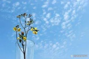 为什么说在恋爱对象的选择上互补性格会让彼此更加舒适？