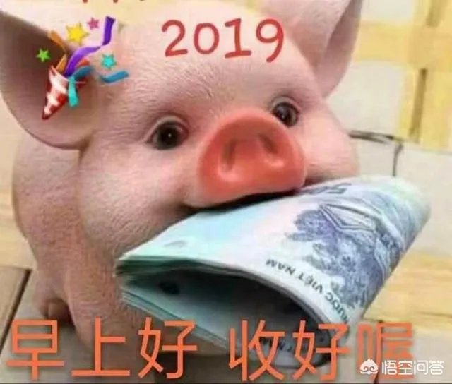 如何看待谢娜在自己的超话被粉丝怼的事情？