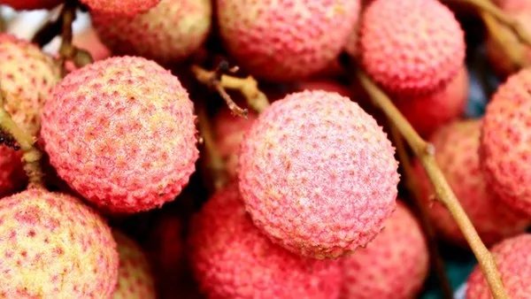 顺气安神丸的效果如何呢 顺气安神丸效果好吗