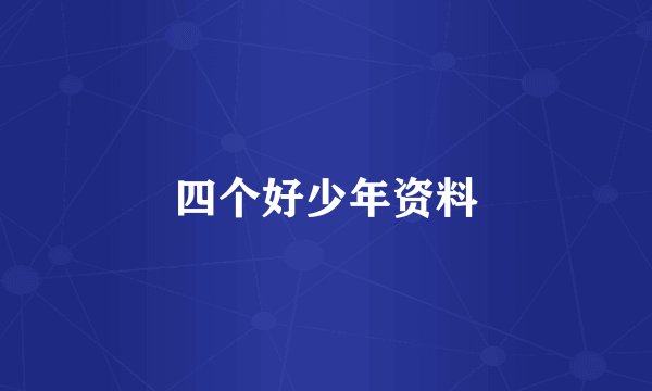 四个好少年资料