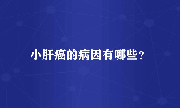 小肝癌的病因有哪些？