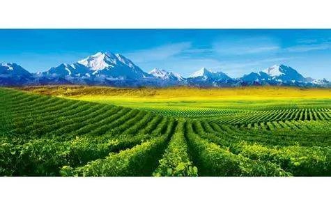 关于春天的农谚