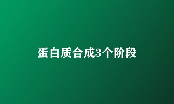 蛋白质合成3个阶段