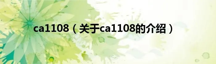 ca1108（关于ca1108的介绍）