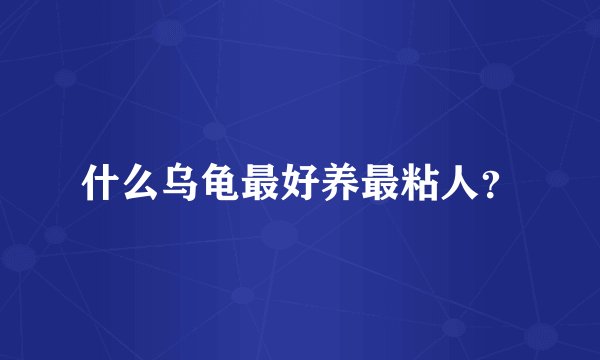什么乌龟最好养最粘人？