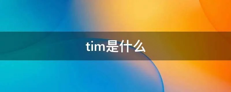 tim是什么