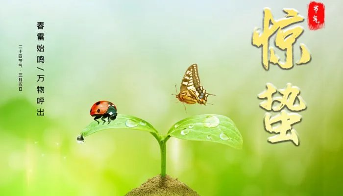 惊蛰怎么读拼音 惊蛰拼音读什么