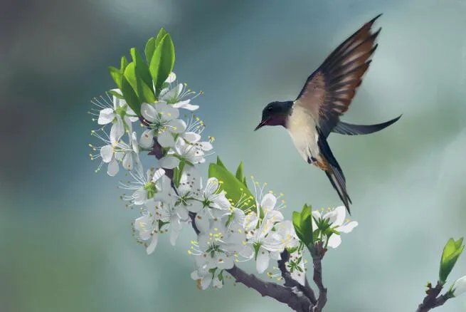 春暖花开的唯美句子 赞美春暖花开的优美短句