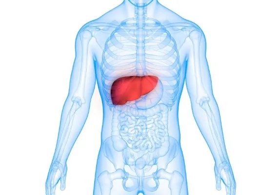 谷丙转氨酶高怎么办