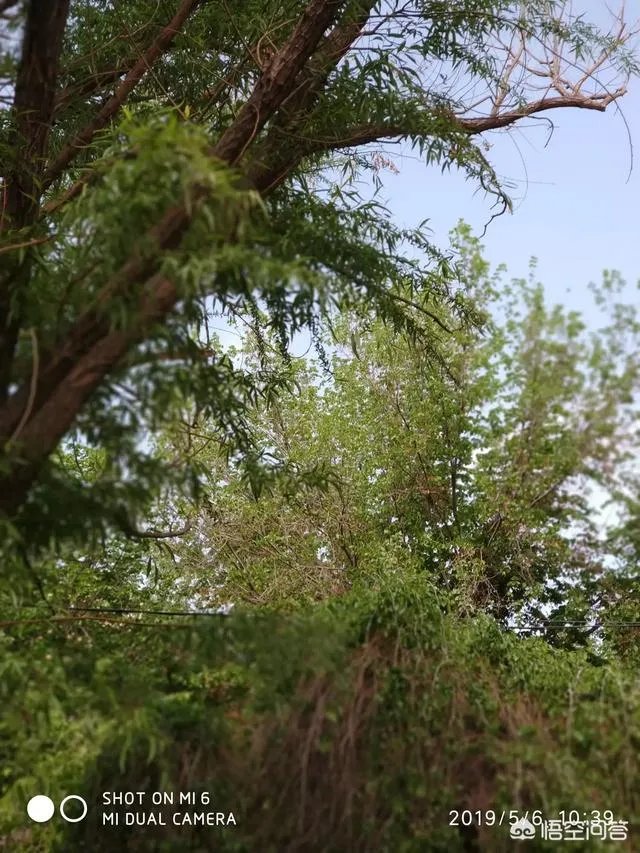 说一句祝福妈妈的话，是什么？