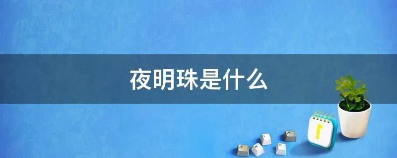 夜明珠是什么