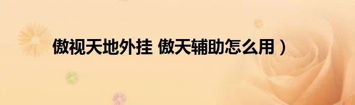 傲视天地外挂 傲天辅助怎么用）
