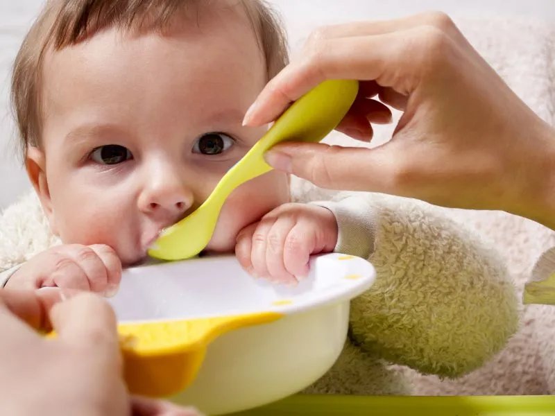 春季幼儿的食谱