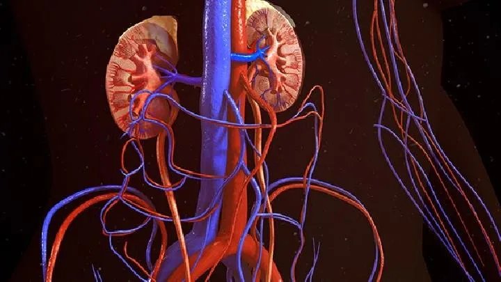 专家介绍肾病综合症患者的主要表现