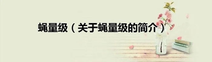 蝇量级（关于蝇量级的简介）