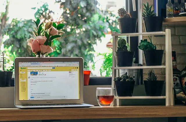 浏览器内核是什么意思 浏览器内核有几种类型