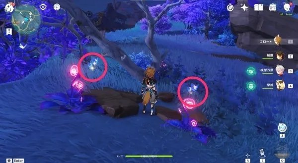 《原神》天云草实收集路线 3.3天云草实位置及获取方法