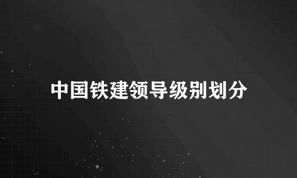 中国铁建领导级别划分