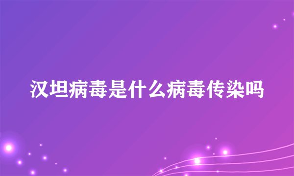 汉坦病毒是什么病毒传染吗