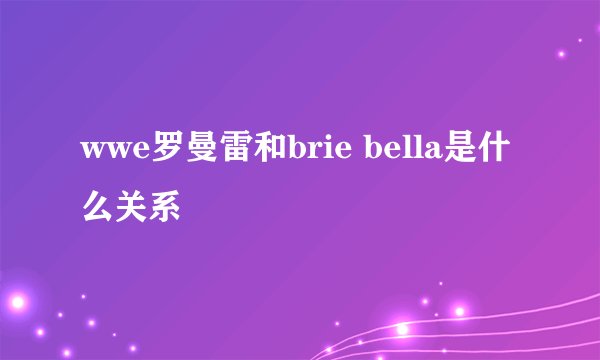 wwe罗曼雷和brie bella是什么关系