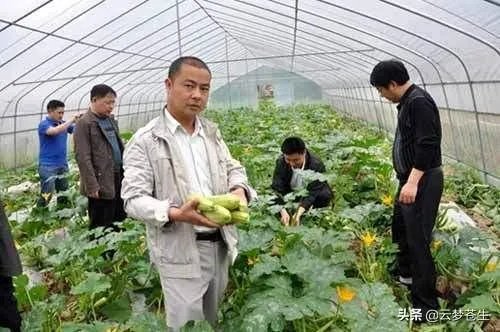 怎么看待中国农业合作社