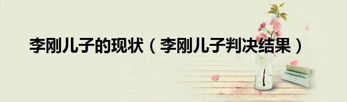 李刚儿子的现状（李刚儿子判决结果）