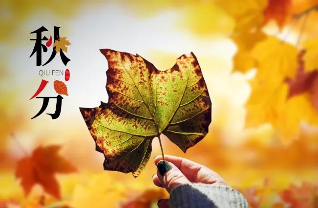 秋分有什么美好寓意 秋分的寓意和象征是什么