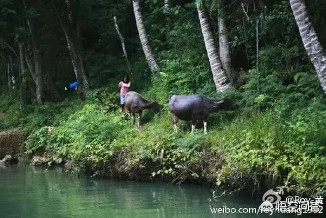 去海岛旅行，有哪些要注意的事项？