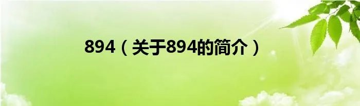894（关于894的简介）