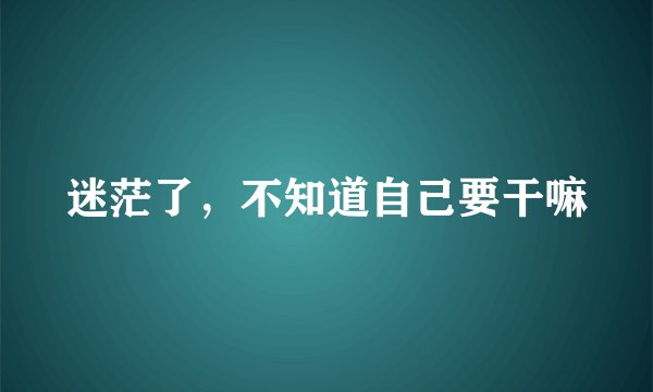 迷茫了，不知道自己要干嘛