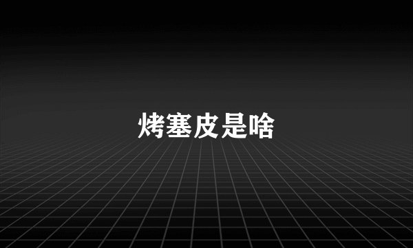 烤塞皮是啥