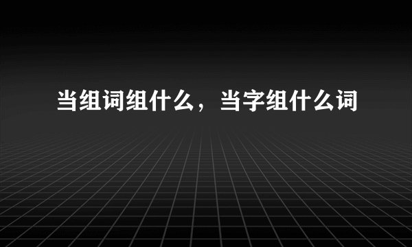 当组词组什么，当字组什么词