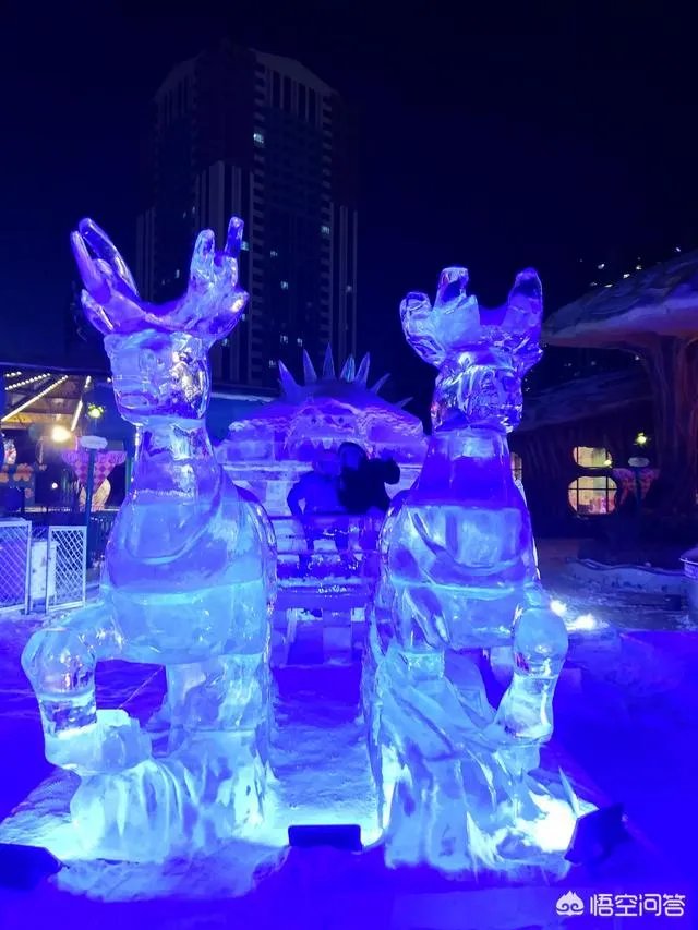 哈尔滨冰灯好看吗？