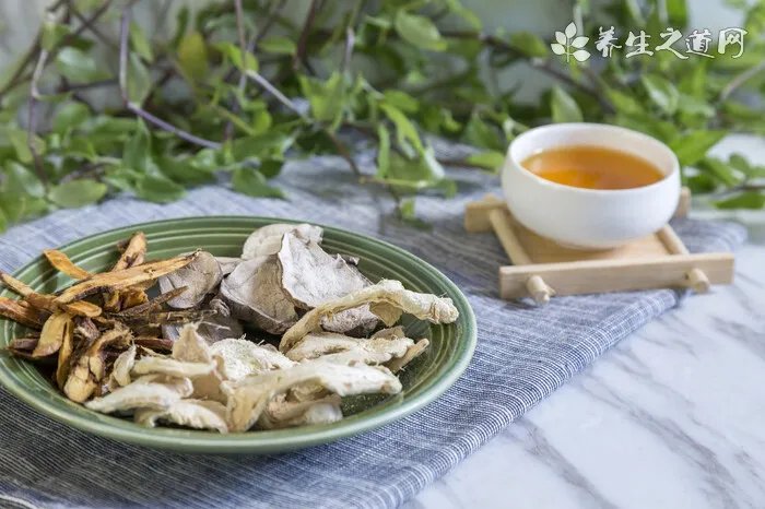 小狗得狗瘟还能治好吗